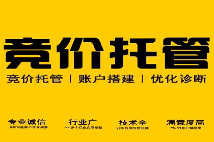 sem推广竞价的智慧与策略：多维度成功案例分析